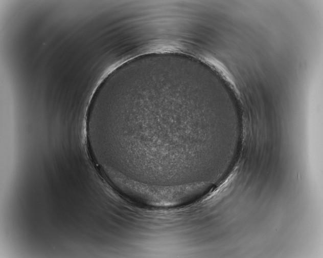 X0000094381226200711021220