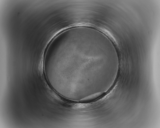 X0000094381228200711021220