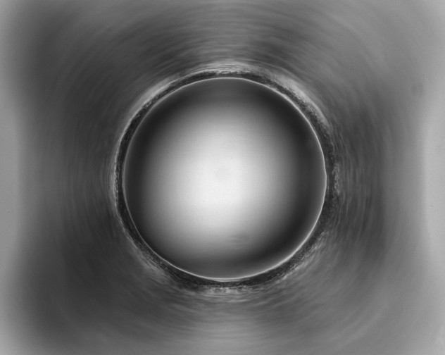 X0000094381229200711021220