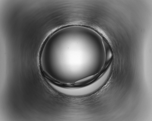 X0000094381230200711021220