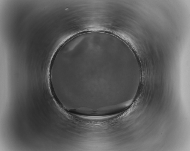 X0000094381231200711021220