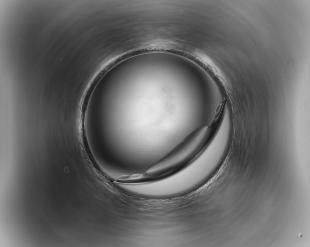 X0000094381232200711021220