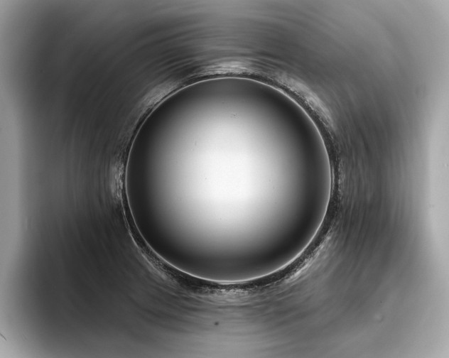 X0000094381233200711021220