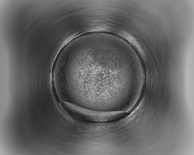 X0000094381234200711021220