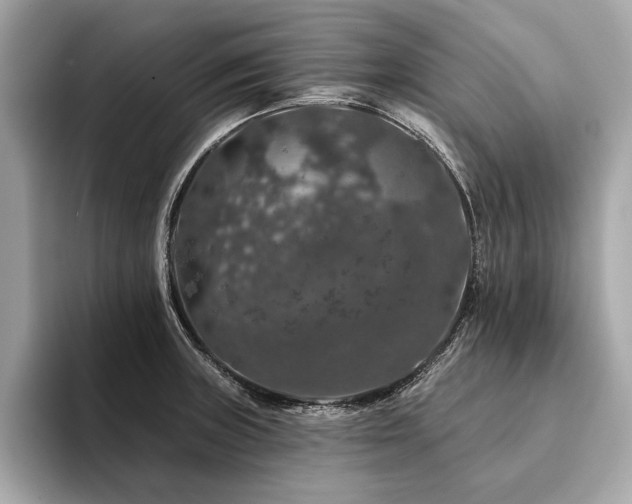 X0000094381235200711021220