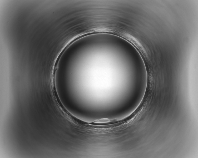 X0000094381236200711021220