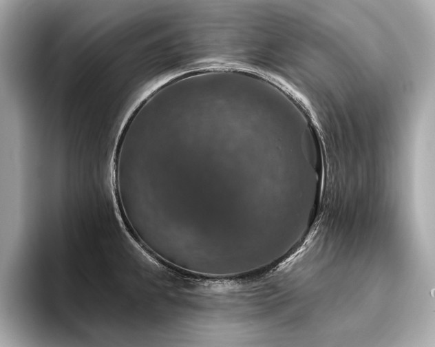 X0000094381239200711021220