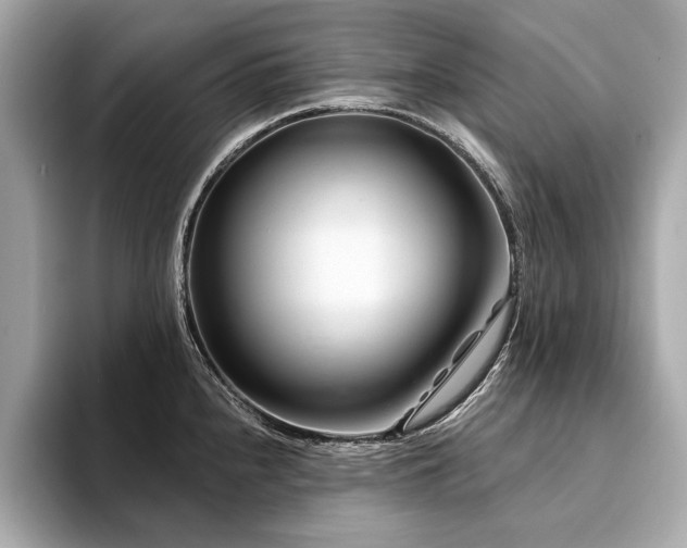 X0000094381240200711021220
