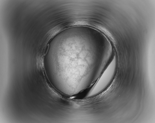 X0000094381241200711021220