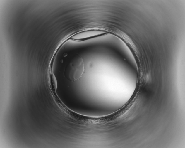 X0000094381242200711021220