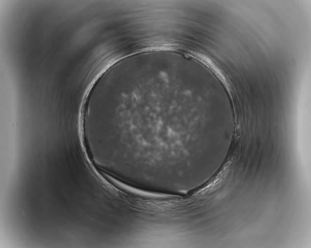 X0000094381243200711021220