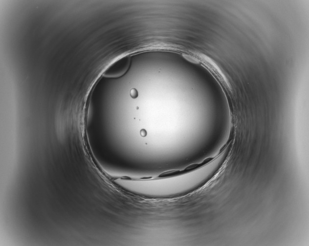 X0000094381244200711021220