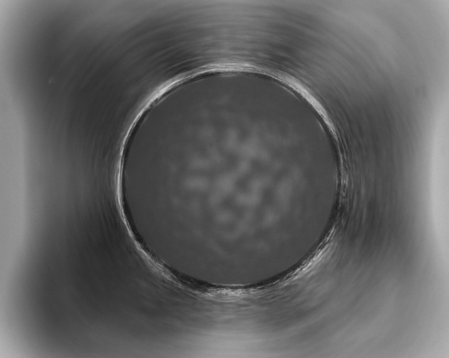 X0000094381245200711021220
