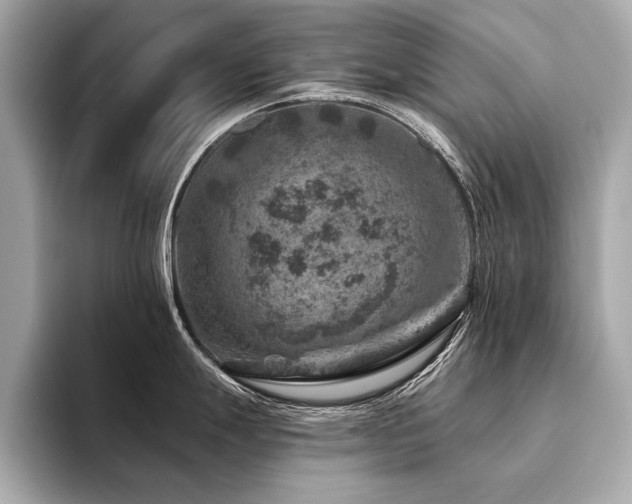 X0000094381247200711021220