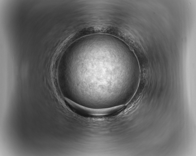 X0000094381249200711021220