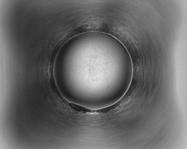X0000094381250200711021220