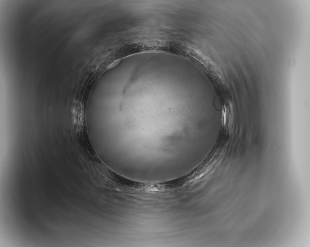 X0000094381251200711021220