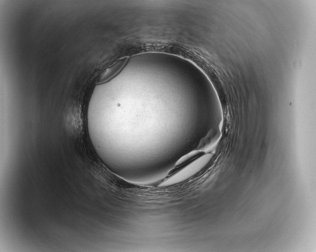 X0000094381252200711021220
