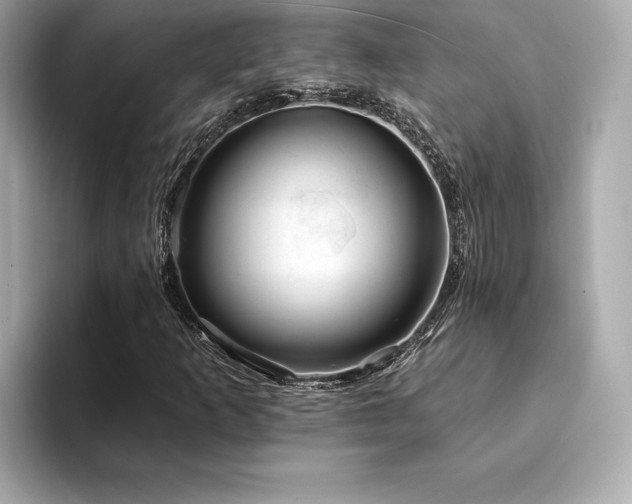 X0000094381253200711021220