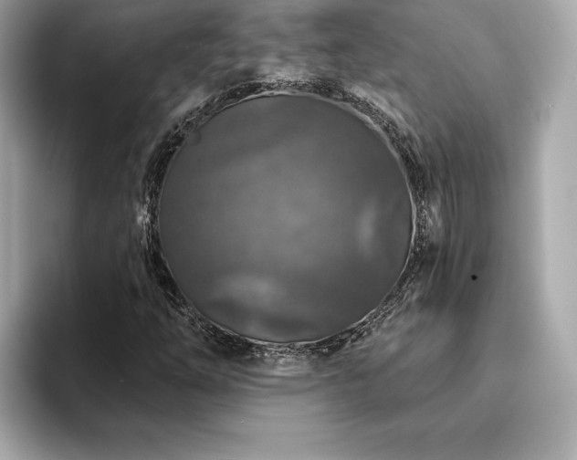 X0000094381254200711021220