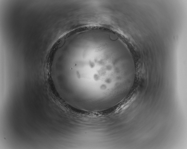 X0000094381255200711021220