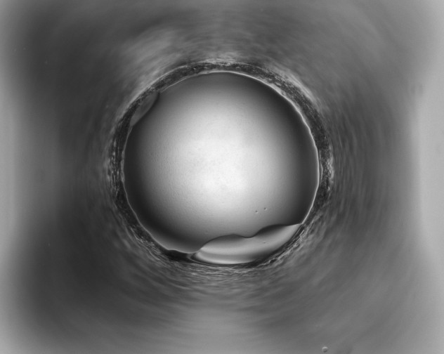 X0000094381256200711021220