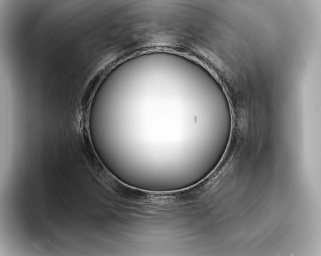 X0000094381258200711021220