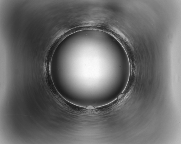 X0000094381259200711021220