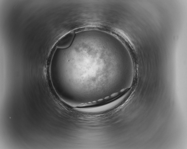 X0000094381260200711021220
