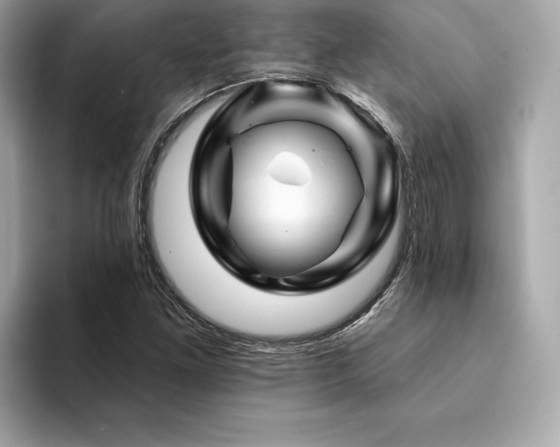 X0000094381261200711021220