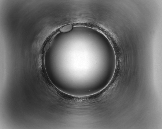 X0000094381262200711021219