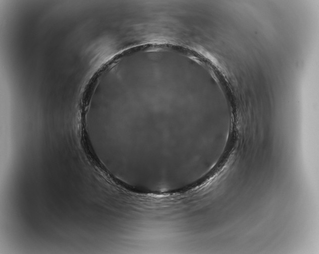 X0000094381263200711021219