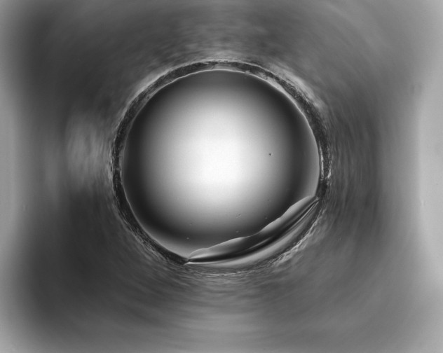 X0000094381264200711021219