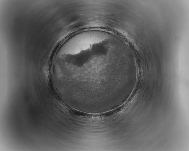 X0000094381266200711021219