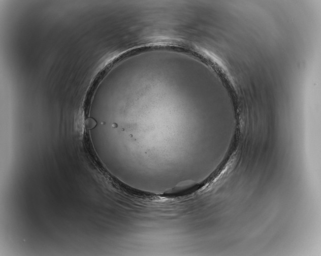 X0000094381267200711021219