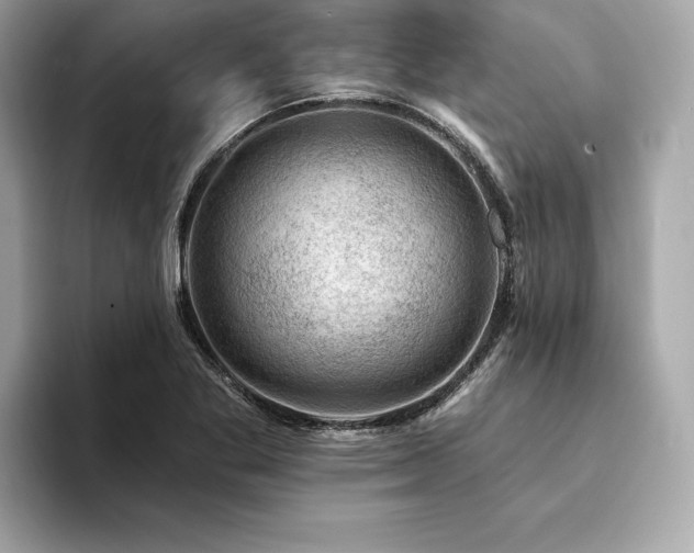 X0000094381269200711021219