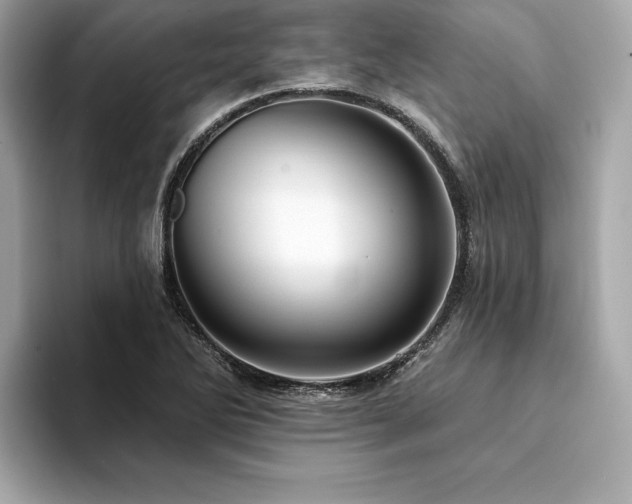 X0000094381270200711021219