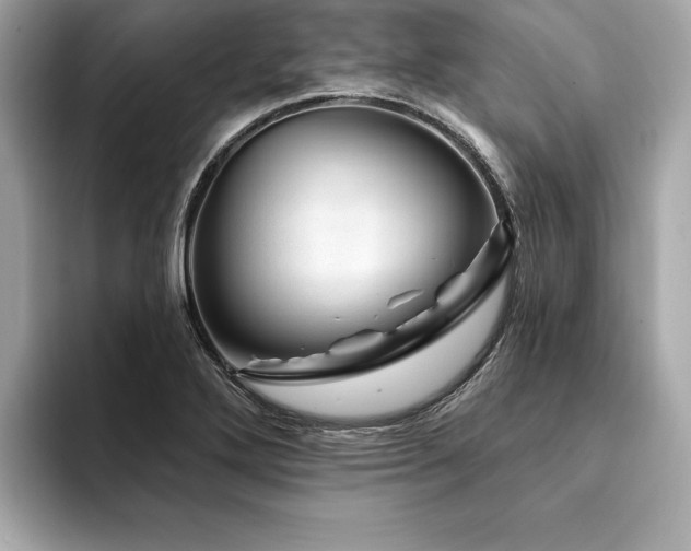 X0000094381272200711021219