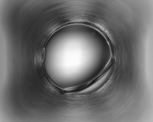 X0000094381273200711021219