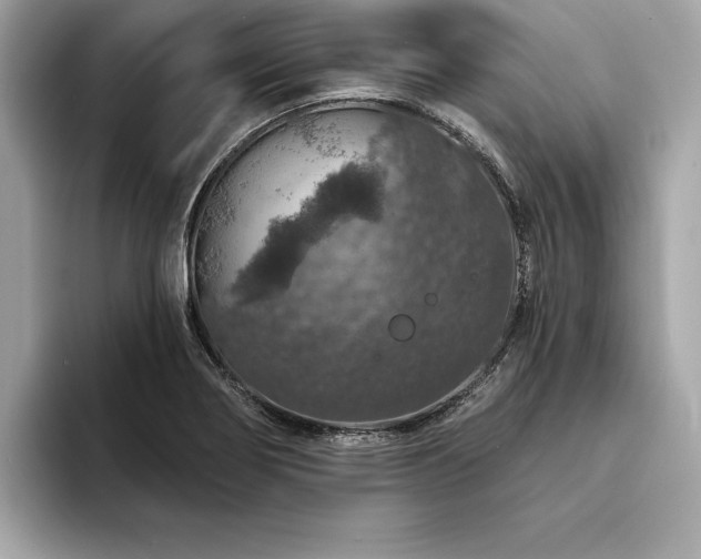 X0000094381274200711021219