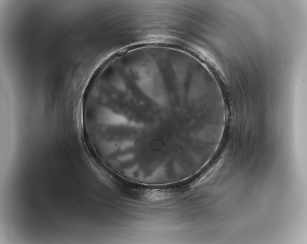 X0000094381275200711021219