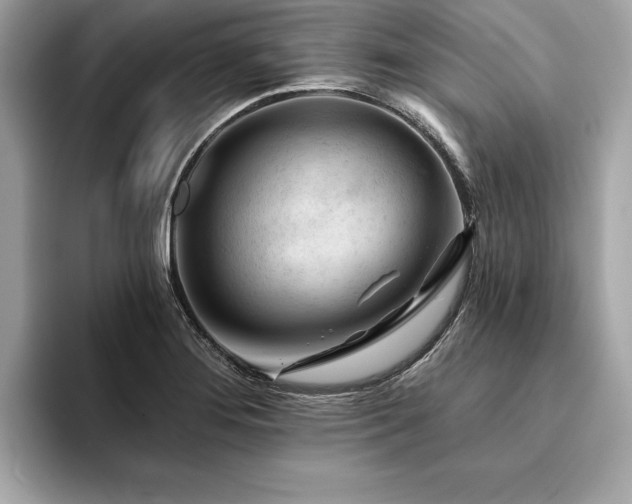 X0000094381276200711021219