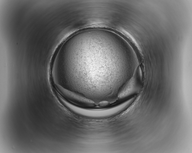 X0000094381277200711021219