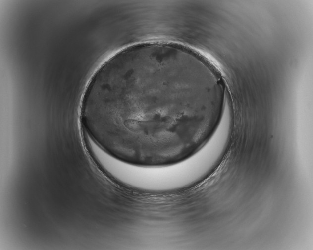 X0000094381279200711021219