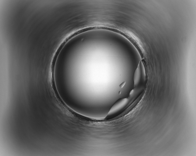 X0000094381280200711021219