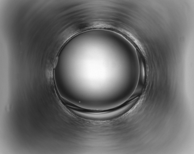 X0000094381281200711021219