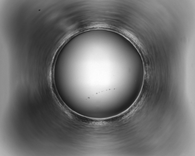 X0000094381282200711021219