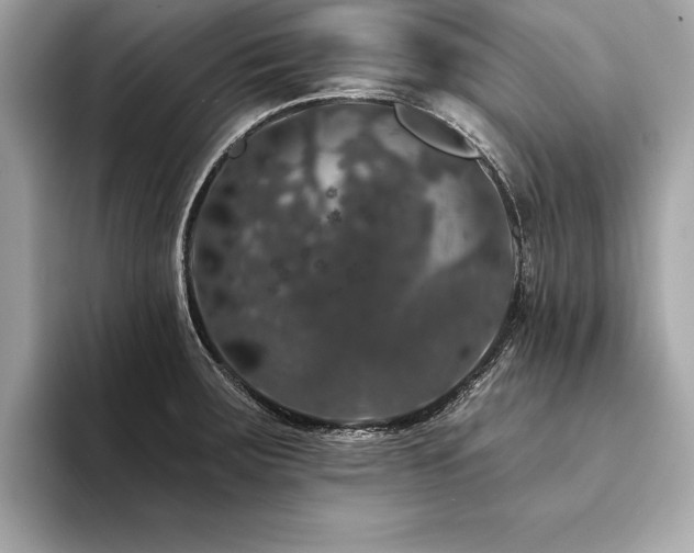 X0000094381283200711021219