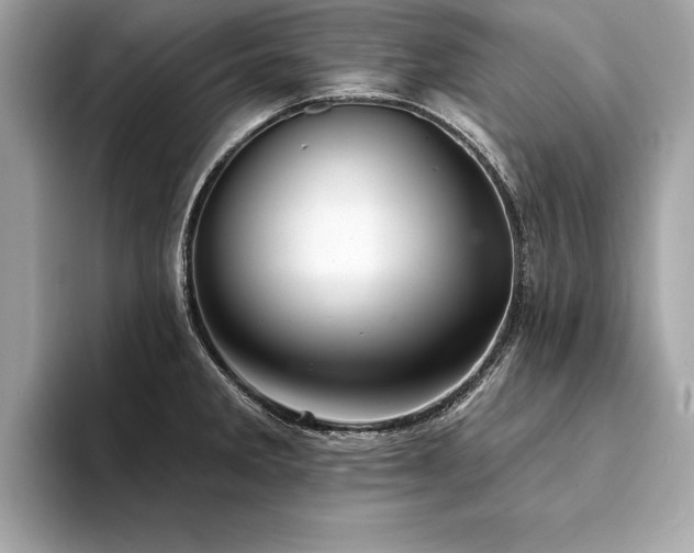 X0000094381285200711021219