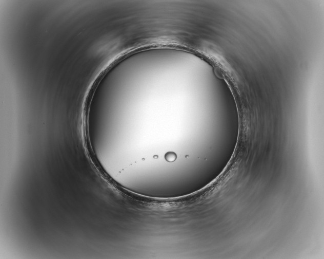 X0000094381286200711021219